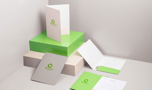 專業廣告設計，助力品牌騰飛——金妻玉寶杰出設計服務